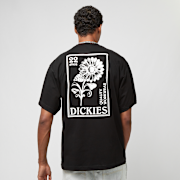 Niet geselecteerd, Dickies, Garden Plain Tee Short Sleeve, zwart (Uitverkocht)