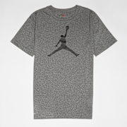Unselected, Jordan, Jumpman Logo Dri Fit Tee, grey (Sold-out)