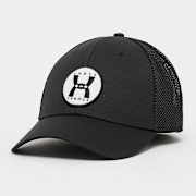 Selected, Under Armour, Blitzing Trucker, black