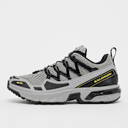 Unselected, Salomon, ACS+OG, grey