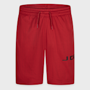 Unselected, Jordan, Baseline Mesh Short, red (Sold-out)