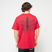 Unselected, adidas Originals, Trefoil Back PR, red (Sold-out)