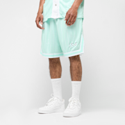 Selected, Karl Kani, Small Varsity Logo Pinstripe Mesh Shorts, blue