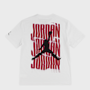 Unselected, Jordan, Distressed Short Sleeve Tee, white