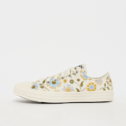 Selected, Converse, Chuck Taylor All Star, multi-colour