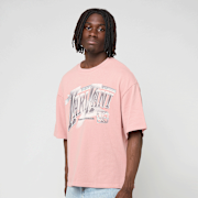 Unselected, Karl Kani, Sport Gradient Boxy T-Shirt, light pink
