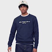 Unselected, Polo Ralph Lauren, Knit Sweatshirt, blue (Sold-out)
