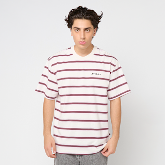 Dickies, York Stripe Short Sleeve Tee, beige