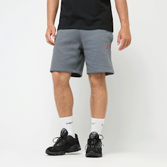 Under Armour, Icon Fleece Short Taping, grey
