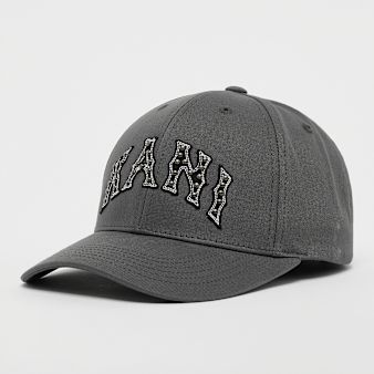 Karl Kani, Looplabel Baseball Cap, grey