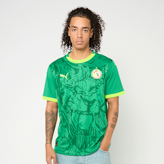 PUMA, FIF Home Jersey Replica, zielony