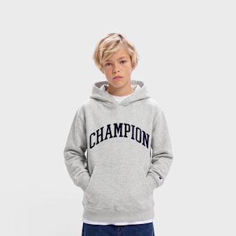 Champion, Hooded Sweatshirt, grey