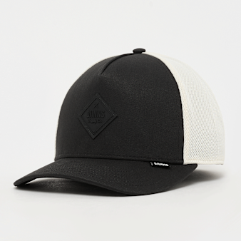 DJINNS, New HFT SNPS, black