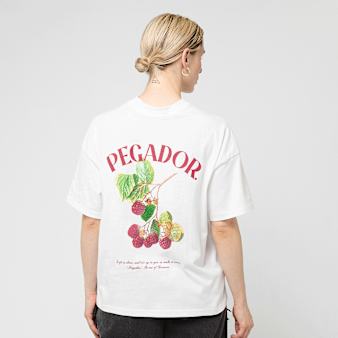 Pegador, Malli Heavy Oversized Tee, white