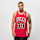 Mitchell & Ness, NBA Swingman Chicago Bulls Scottie Pippen, red