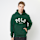 Polo Ralph Lauren, LSPOHOODM2-Long Sleeve- Sweatshirt, green