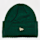 New Era, Wide Cuff Beanie, green