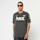PUMA, F1 Graphic Ringer Tee, grey
